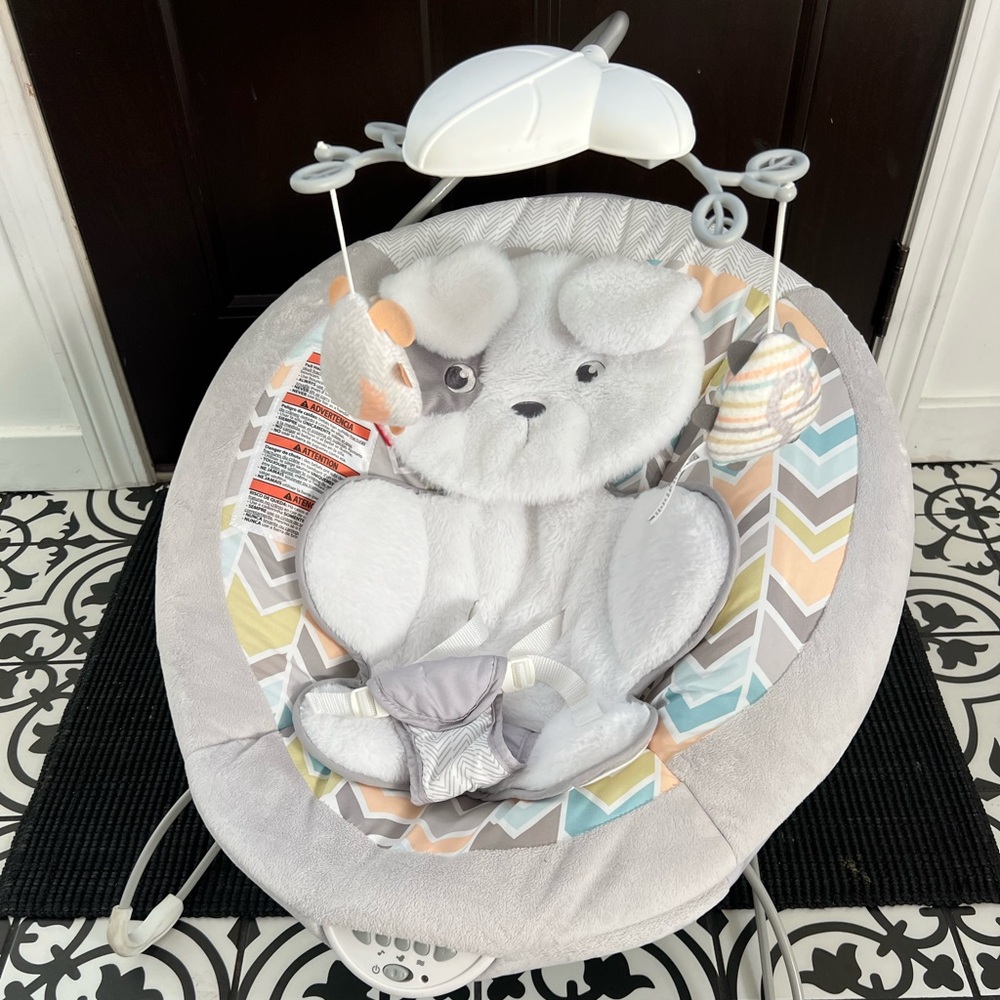 Fisher-Price Gray Baby Bouncer with Toys